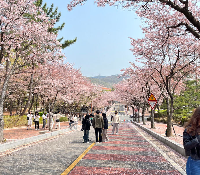 啟明大學（1）