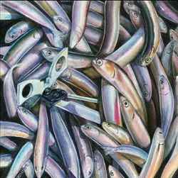 Sardines With Can Opener