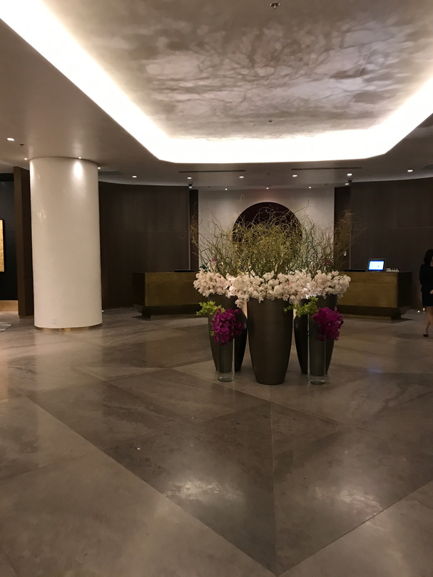 A Visit To The Parq