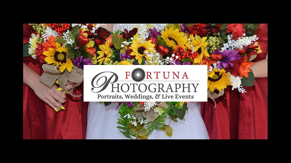 Portraits, Weddings, & Live Events (1).jpg