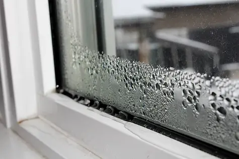 yxh0znlzqhkm4orr4vl7.webp