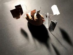 018b IMG_8560