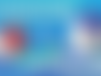 Starter Home vs. Forever Home: Which One Is Right for You?