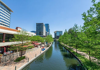 WOODLANDS.jpg