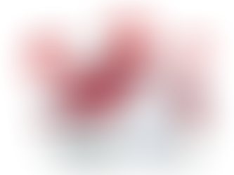 How to Spot Red Flags During a Tour