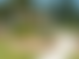 Why Families Love Cupertino