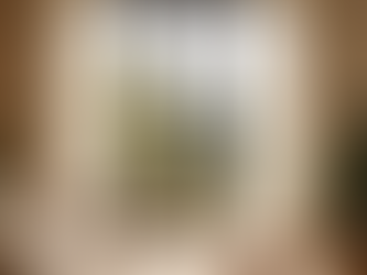 How Natural Light Changes a Home’s Perceived Size