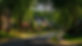 MARYLAND.jpeg