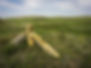 Post Rock Scenic Byway Photo Courtesy Kansas Tourism.jpg
