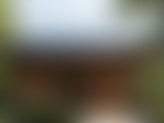 The Future of Green Homes: Solar, Smart Tech, and Efficiency