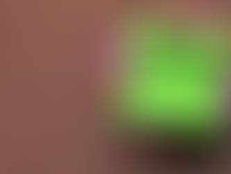 What Credit Score Do You Really Need?