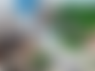 Urban vs Suburban Living: Which Fits Your Lifestyle