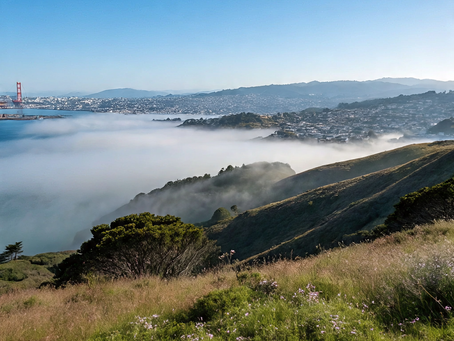 What Buyers Should Know About Marin’s Microclimates