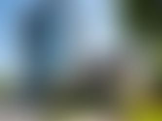 Renting vs Buying This Year: Which Makes More Sense?