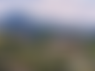 Best Neighborhoods in Marin County for Families