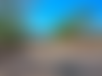 The Pros and Cons of Buying in a Gated Community