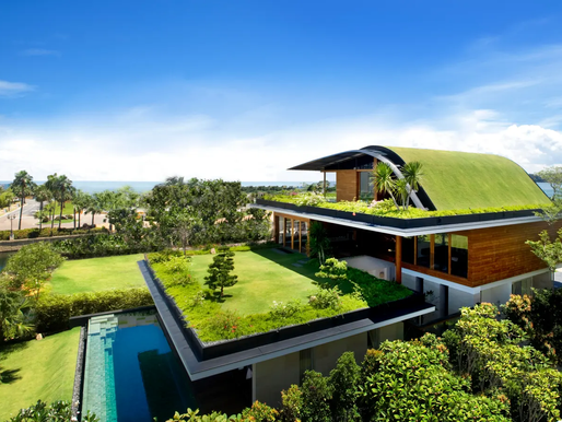 Eco-Friendly Homes and Sustainability