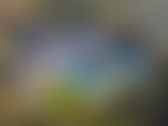 Why Los Gatos Is One of the Most Desirable Places to Live in Silicon Valley