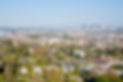 MAR VISTA.jpg
