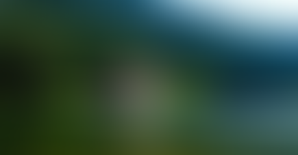 “How to Find the Perfect Lake Home for Your Family”