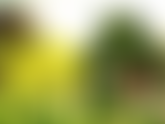 How Seasonality Affects the Real Estate Market