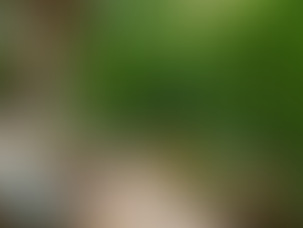 Why Outdoor Space Became a Must-Have Feature