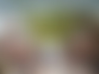 “The Rise of Walkable Communities in Miami”