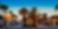 VENICE.jpg
