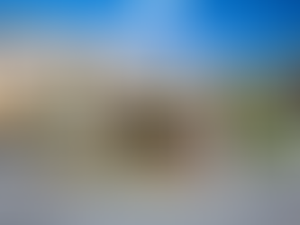 Gated Community vs Open Neighborhood