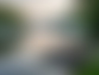 Why Everyone’s Dreaming of Life on a Steuben County Lake