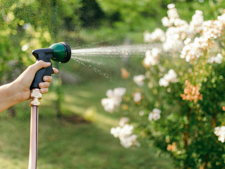 Seasonal Home Maintenance Tips