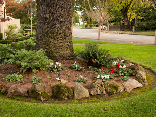 How to Improve Curb Appeal in One Weekend