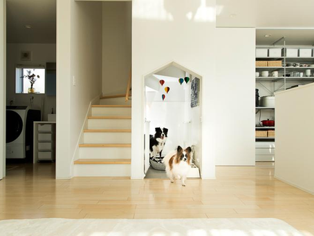 What Makes a Home Pet-Friendly