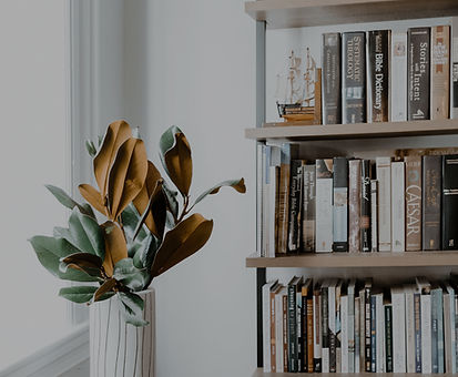 Bookshelves_edited.jpg