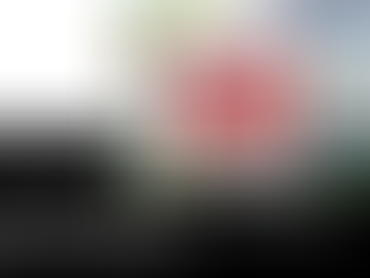 The Pros and Cons of Buying a Foreclosure