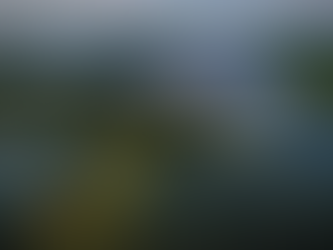 Discovering Steuben County’s 101 Lakes: A Lake for Every Lifestyle