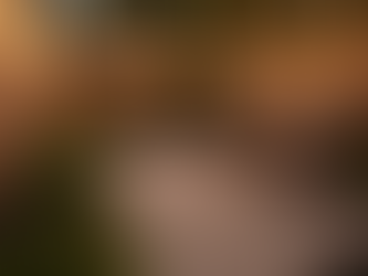 The ROI of Upgrading Your Outdoor Spaces