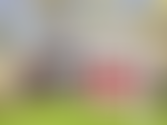 The Psychology of Home Pricing