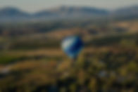 a hot air balloon flying over a lush green hillside_edited.jpg
