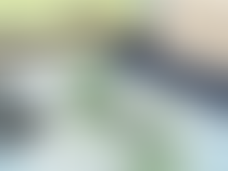 How Much House You Can Afford in Marin