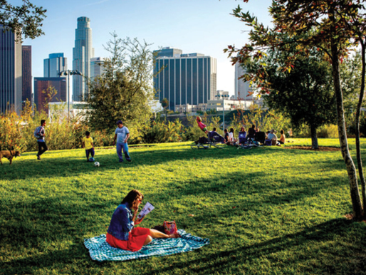 Why Buyers Love Homes Near Parks and Green Spaces