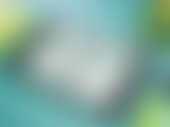 The pros and cons of a conventional loan and FHA