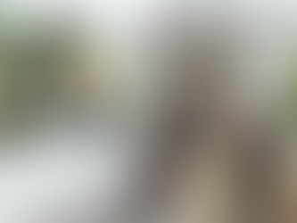 The Connection Between Job Relocation Trends and Real Estate