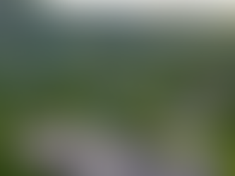 Living in Marin County: Hidden Gems & Lifestyle Perks