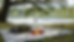 Close-up view of picnic supplies on a blanket near a quiet lake shore.