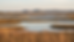 Wide-angle view of marsh ponds with birds flying over reeds.