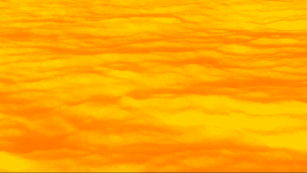 ezgif.com-video-to-gif (6) 2.gif