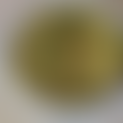 Tatin de courgettes
