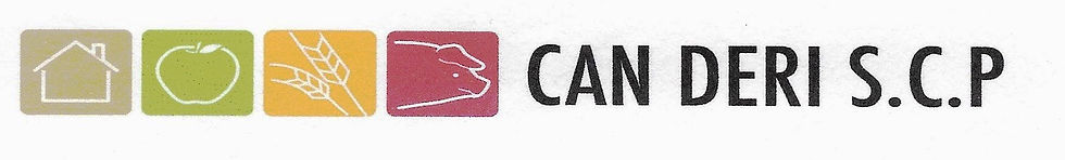 Can Deri