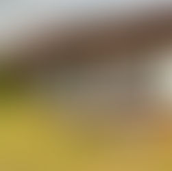 加子母に移住しました　